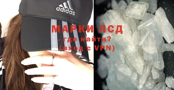 спиды Горняк