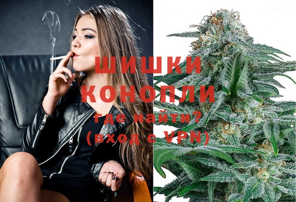 сатива Горно-Алтайск