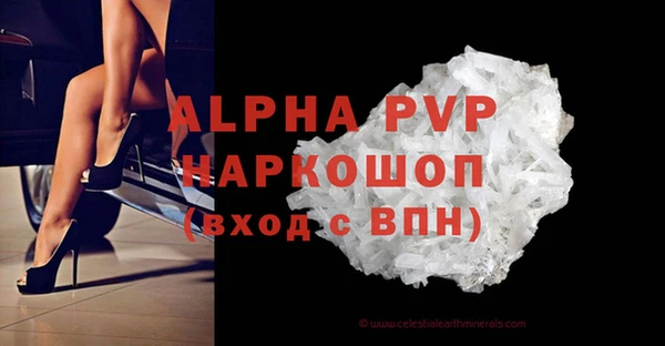 спиды Горняк