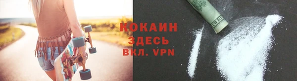 сатива Горно-Алтайск