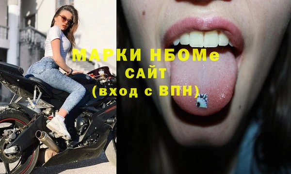 сатива Горно-Алтайск
