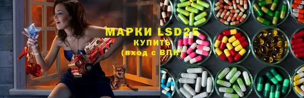 спиды Горняк