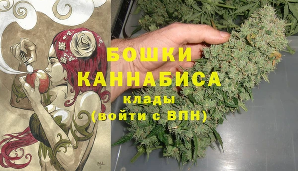 спиды Горняк