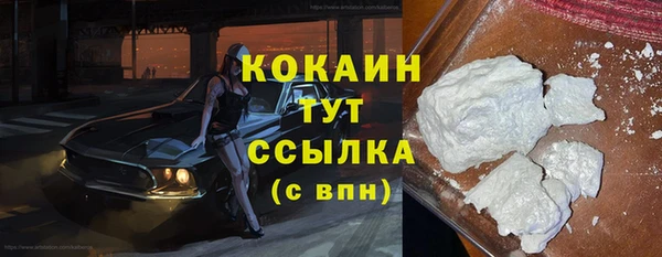 спиды Горняк