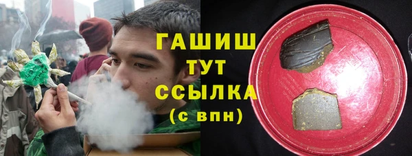 спиды Горняк