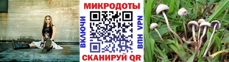 Псилоцибиновые грибы мухоморы  Рязань 